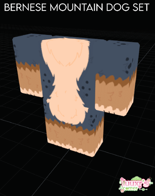 Bernese mountain dog set